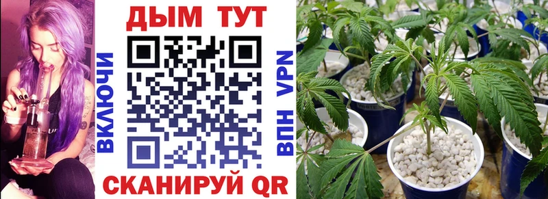 Бошки Шишки SATIVA & INDICA  Плёс 